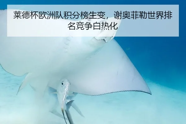 莱德杯欧洲队积分榜生变，谢奥菲勒世界排名竞争白热化